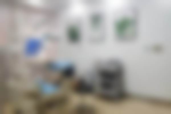 六、河南新乡益美口腔诊所（新一街店）荣誉资质与患者口碑，见证品牌实力