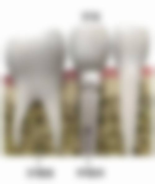 七、东莞益牙口腔就医指南，便捷就诊不迷路