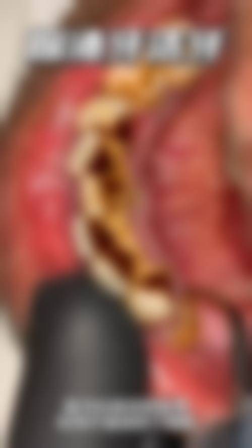 七、沈阳宇辰大海口腔门诊部就医指南,便捷就诊不迷路