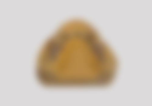 二、成都武侯熊猫口腔医生团队，打造专精诊疗服务