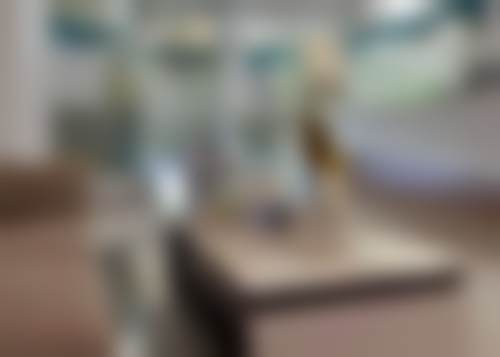 五、湖南娄底乐朗口腔门诊部舒适就医环境，打造人性化诊疗体验