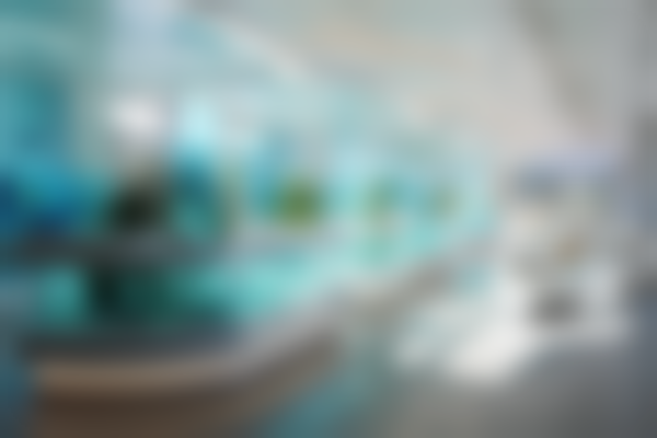 广东广州舒尔口腔