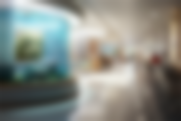 杭州口腔医院台州口腔门诊部