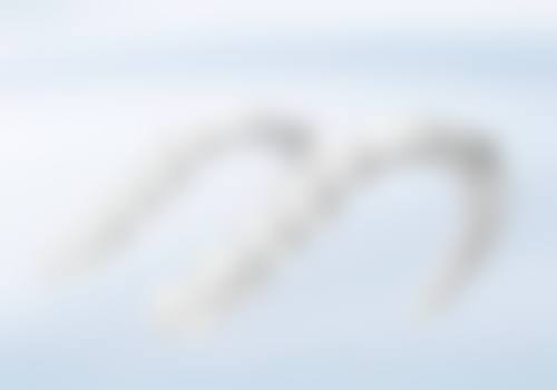 七、武汉大众口腔(吴家山店)就医指南，便捷就诊不迷路