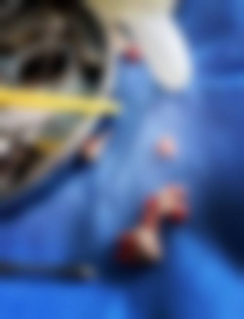 七、广东广州芽博口腔就医指南,便捷就诊不迷路