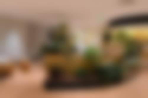 五、宁波鄞州雅禾口腔诊所舒适就医环境,打造人性化诊疗体验