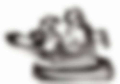 六、浙江余姚圣亚口腔荣誉资质与患者口碑,见证品牌实力