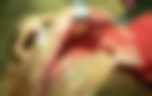 五、海阳东和口腔舒适就医环境，打造人性化诊疗体验