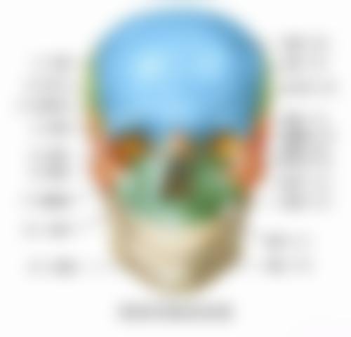 五、广州康城口腔门诊部舒适就医环境，打造人性化诊疗体验