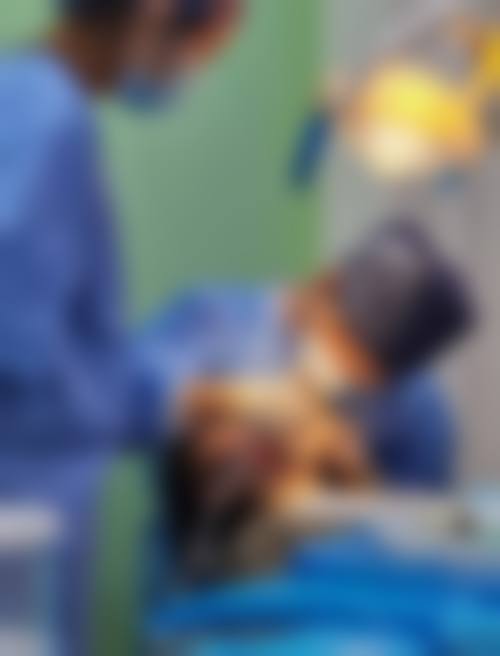 五、盐城大其口腔门诊有限公司舒适就医环境，打造人性化诊疗体验