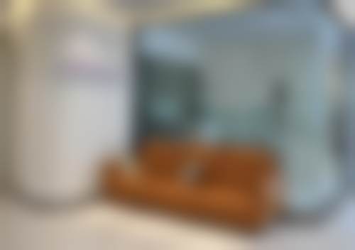 三、武汉博华口腔光谷大道门诊部核心科室与特色项目