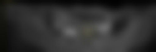 二、广州德伦口腔门诊部（嘉禾金铂分院）医生团队，打造专精诊疗服务