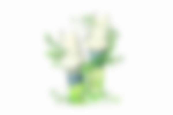 二、广西柳州龙瀚口腔门诊部医生团队,打造专精诊疗服务