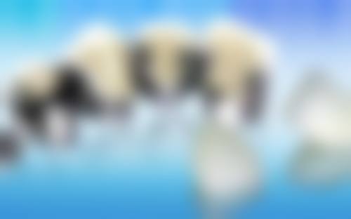 五、江苏宿迁珀源口腔舒适就医环境,打造人性化诊疗体验
