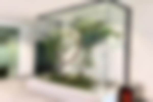 六、常德武陵整齐天使口腔门诊部荣誉资质与患者口碑，见证品牌实力