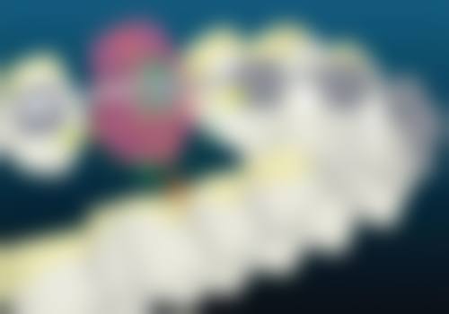 三、浙江金华周菁华口腔诊所核心科室与特色项目