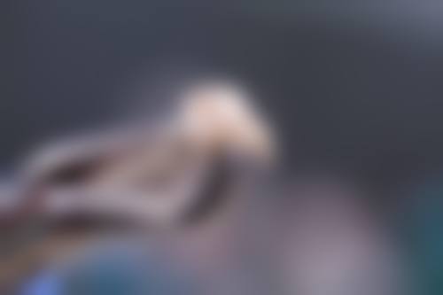 五、成都奥贝口腔(彭镇店)舒适就医环境,打造人性化诊疗体验
