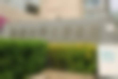 临床实例分享：北京大学口腔医院谢秋菲医生真实反馈