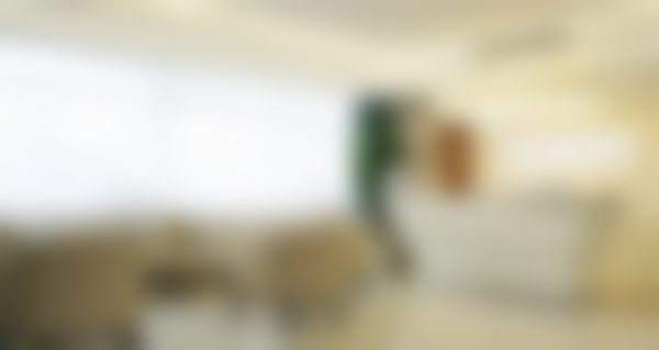 擅长项目详解