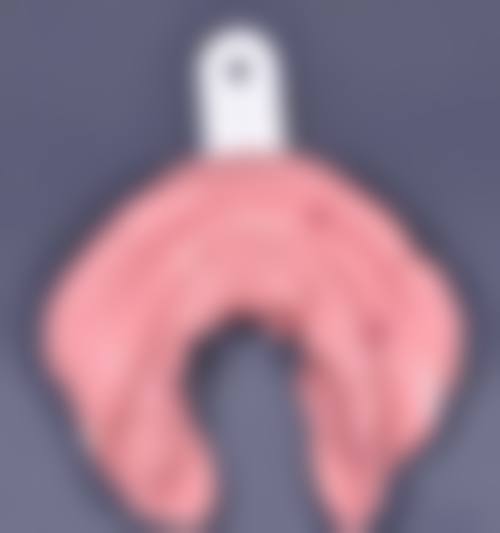 总结与预约指引