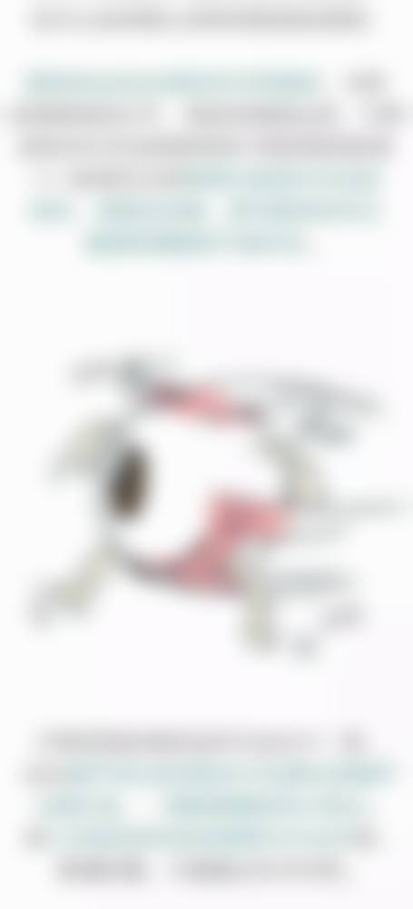 擅长项目详解