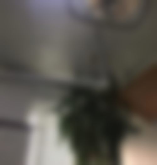 专精守护微笑预约便捷开启健康之旅