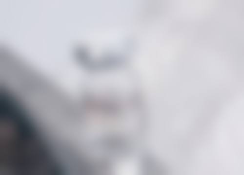 总结与专精预约号召