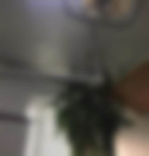 引进前列设备提升诊疗精度与舒适度