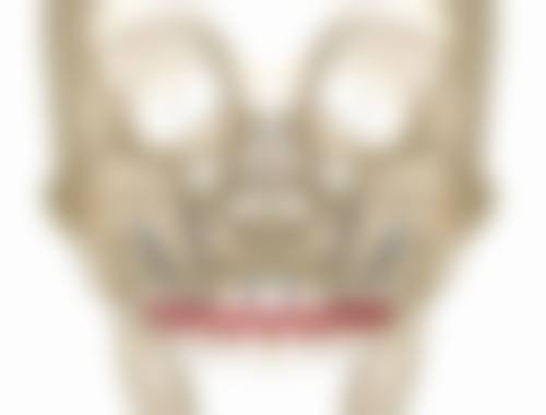 精良设备与舒适诊疗环境