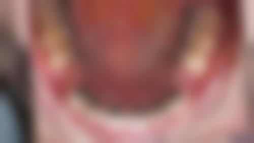 便捷预约流程与FAQ解答