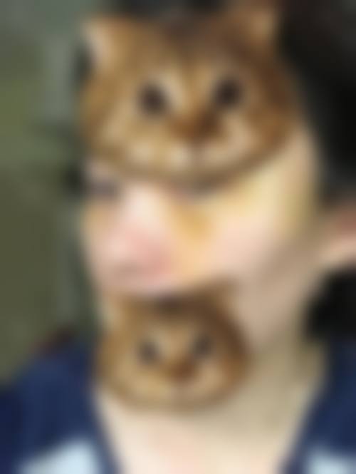 预约优惠活动