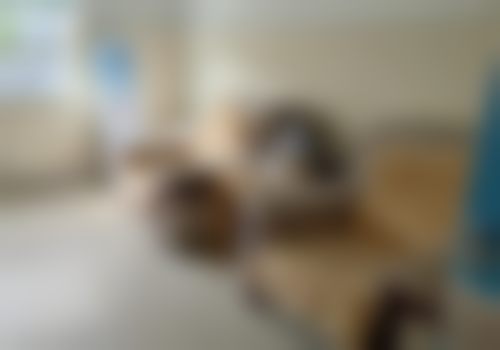 透明收费标准与优惠活动