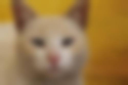 高端设备与环境介绍