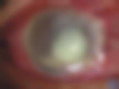 总结与预约指南