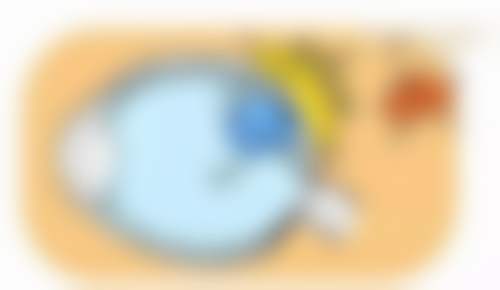 透明价格体系与优惠详情