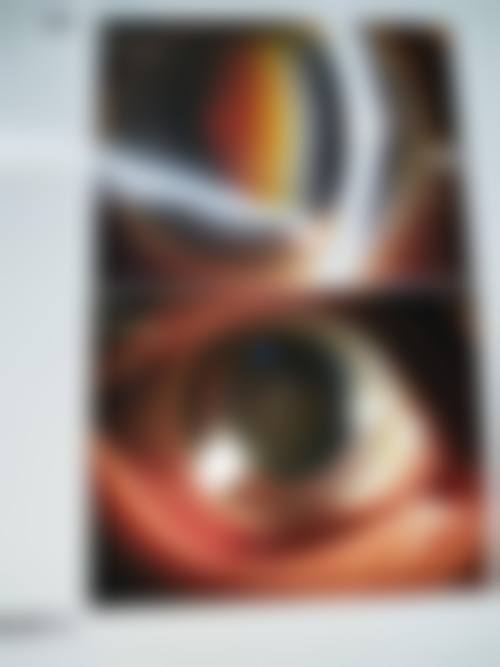 核心骨干医生团队与特色项目优势