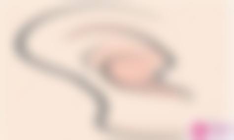 透明价格体系与优惠活动，高性价比之选