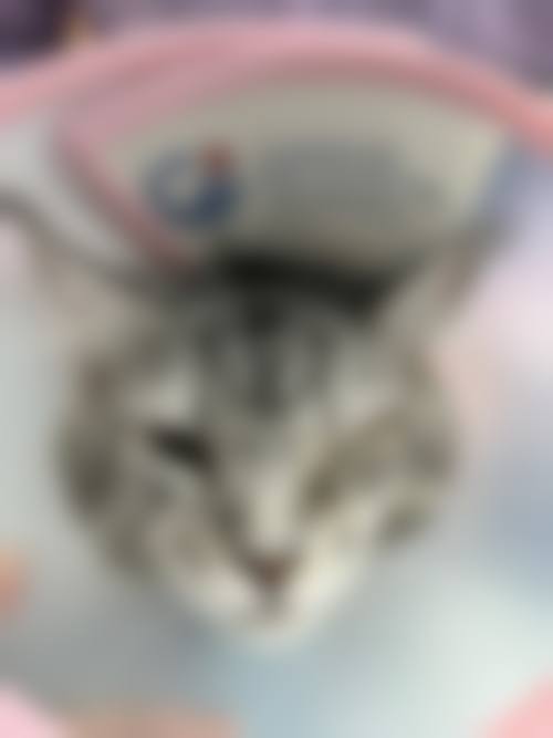 常见问题解答FAQ