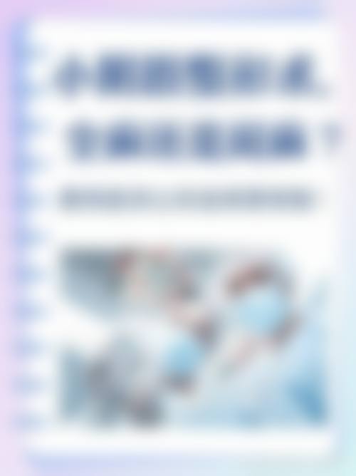 全流程贴心服务体验