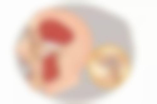 常见问题解答