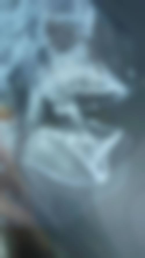 特色科室与精良设备
