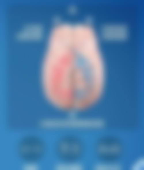 医生资质介绍:朱昱楠医生的专精背景解析