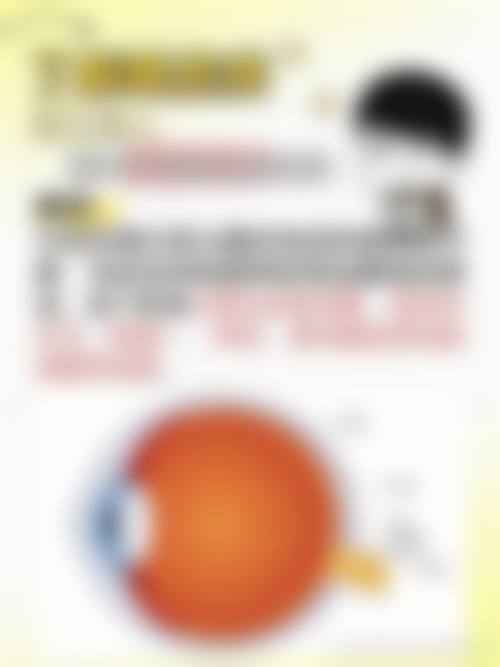 擅长项目详解