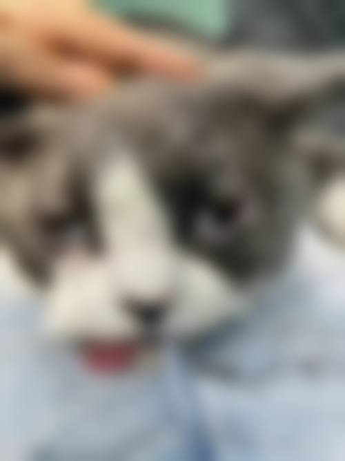 医生资质介绍