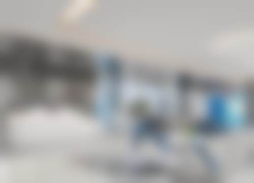 擅长项目详解