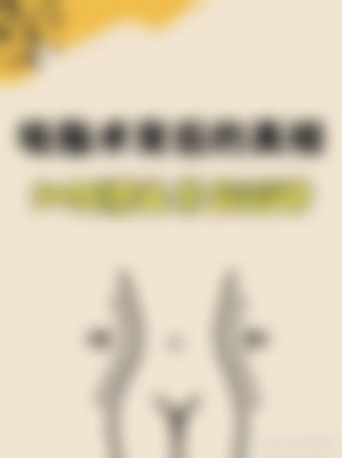 擅长项目详解