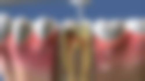 常见问题解答FAQ