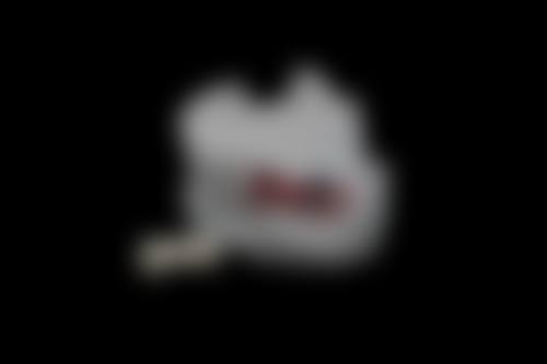 核心技术与特色项目解析