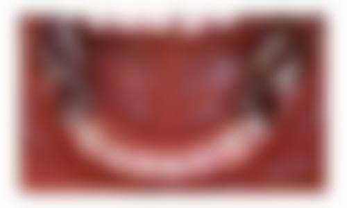 擅长项目详解