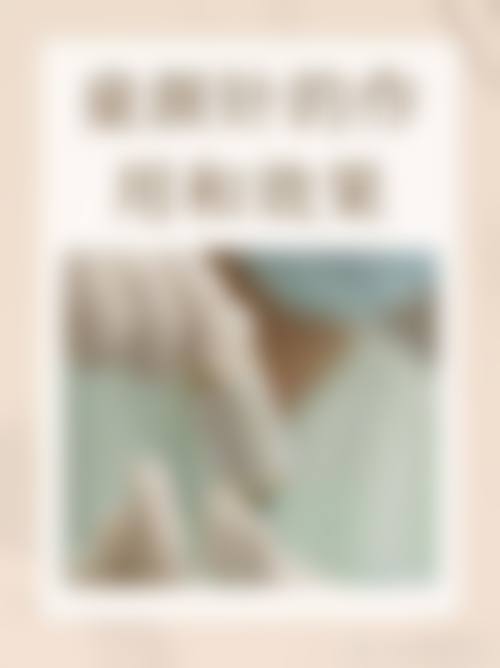 核心项目与技术优势详解